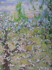 Цветет старая яблоня. 2009 бумага, акварель, 30х40