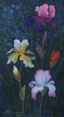 Ирисы. 2007 бумага, гуашь, пастель, 26х47